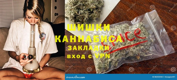 молекула духа Переславль-Залесский