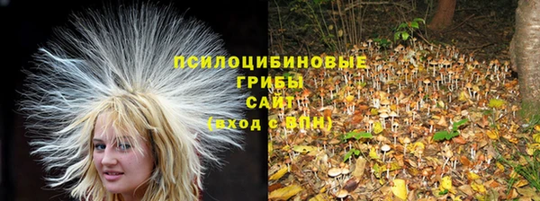 эйфоретик Покачи
