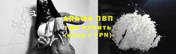 молекула духа Переславль-Залесский