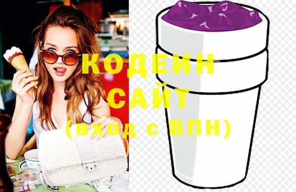 эйфоретик Покачи