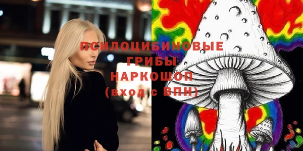 эйфоретик Покачи