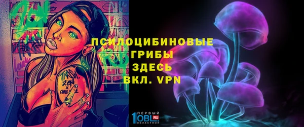 экстази Пестово