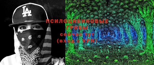 эйфоретик Покачи